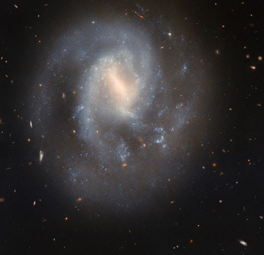 Hubble Studies a Spiral’s Supernova Scene