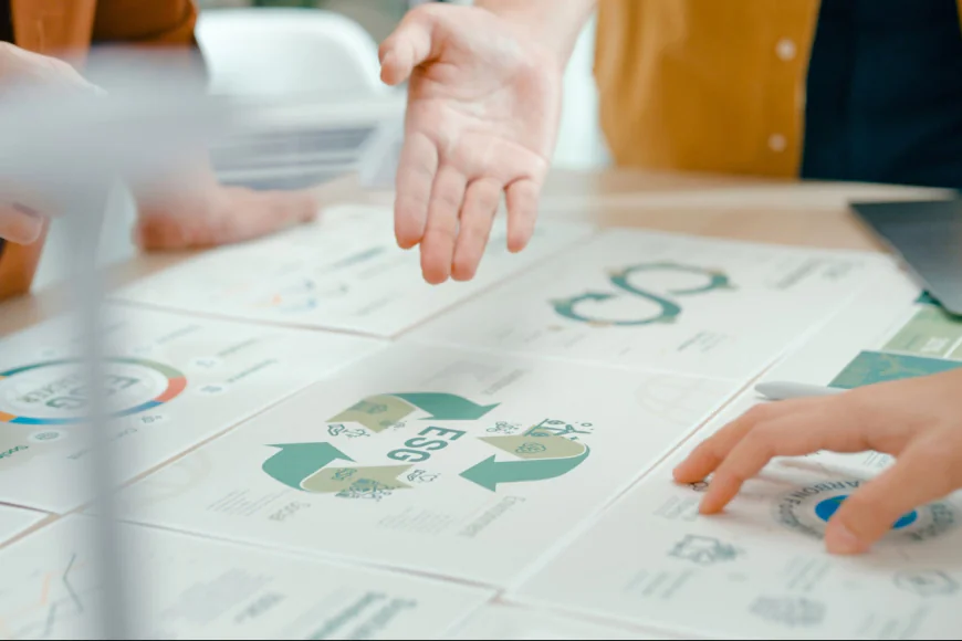 Why Your Business Can't Afford to Ignore Sustainability Any Longer