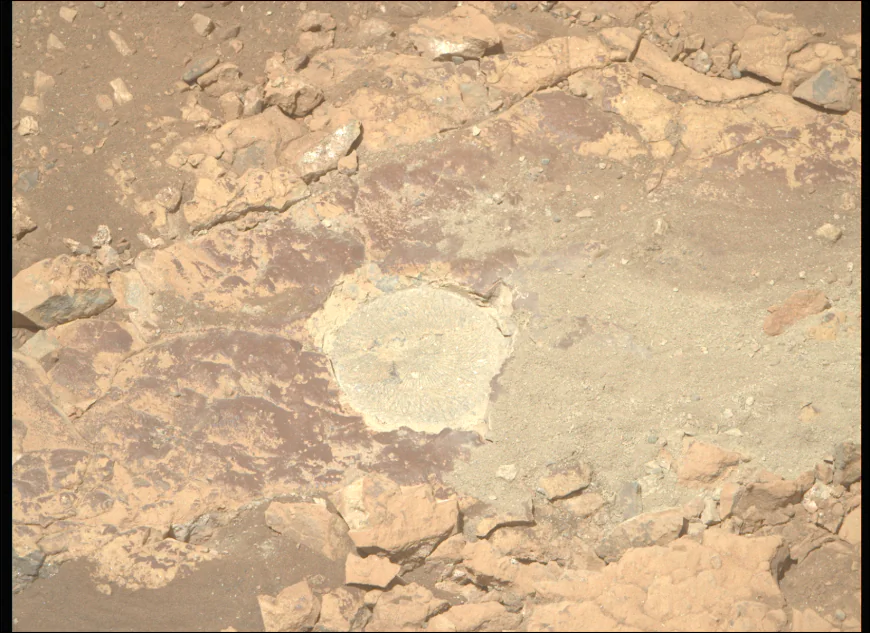 Clay Minerals From Mars’ Most Ancient Past?