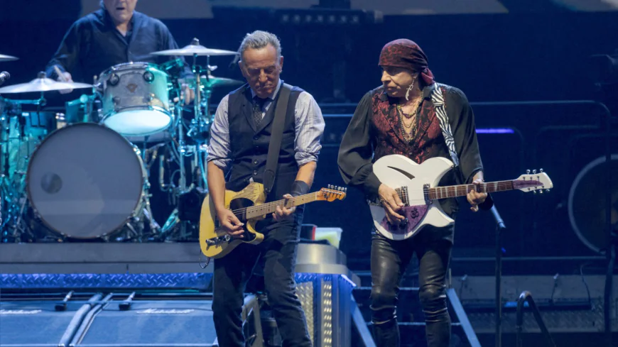 Steven Van Zandt Undergoes Emergency Surgery for Appendicitis After Concert in Spain