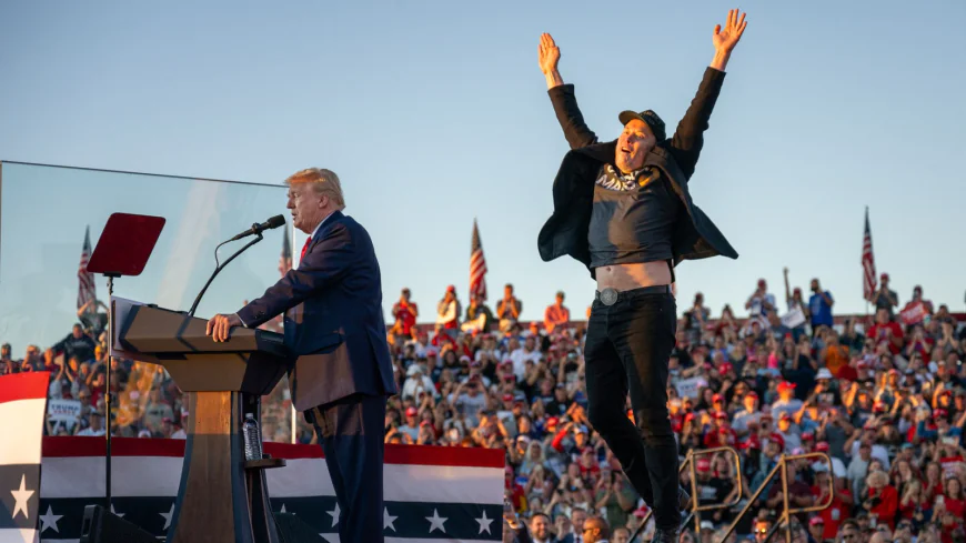It’s Been One Year Since Musk Endorsed Trump. Was It Worth It?