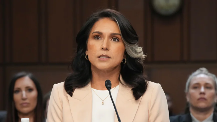 Tulsi Gabbard Helps Boost Trump’s Russia Crusade, Calling for Prosecution of Obama Officials