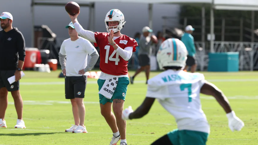 How to Watch Today’s Dolphins vs. Bears Preseason Game Online