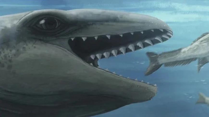 Scientists Discover 'Deceptively Cute' Prehistoric Species That Looked Like a Pokémon