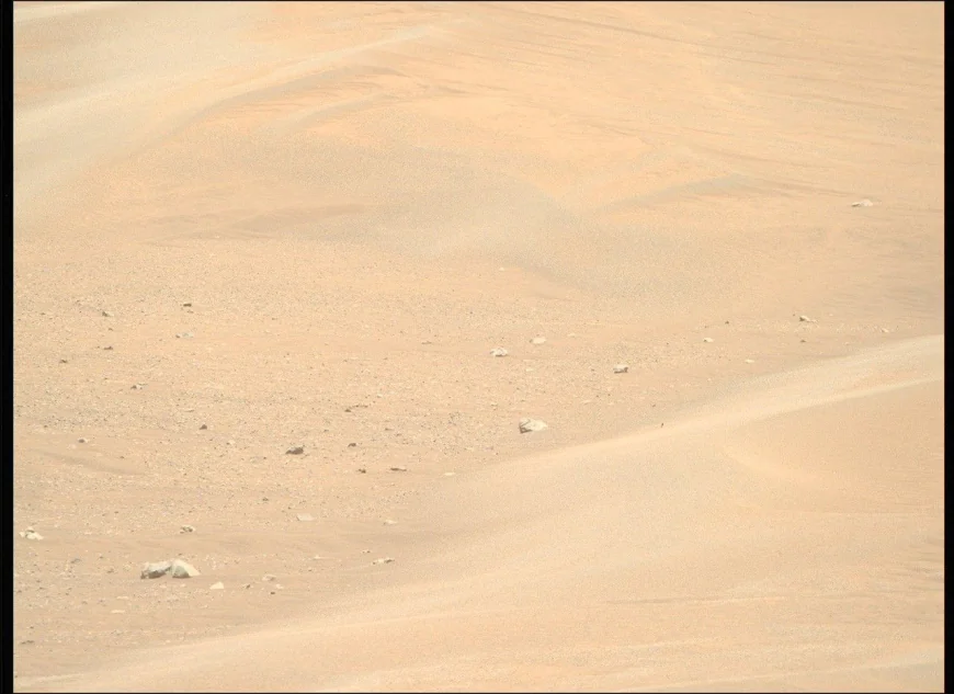 To See the World in a Grain of Sand: Investigating Megaripples at ‘Kerrlaguna’