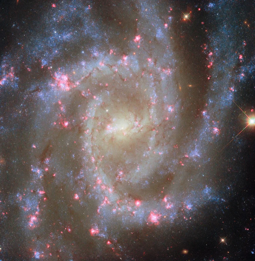 Hubble Observes Noteworthy Nearby Spiral Galaxy